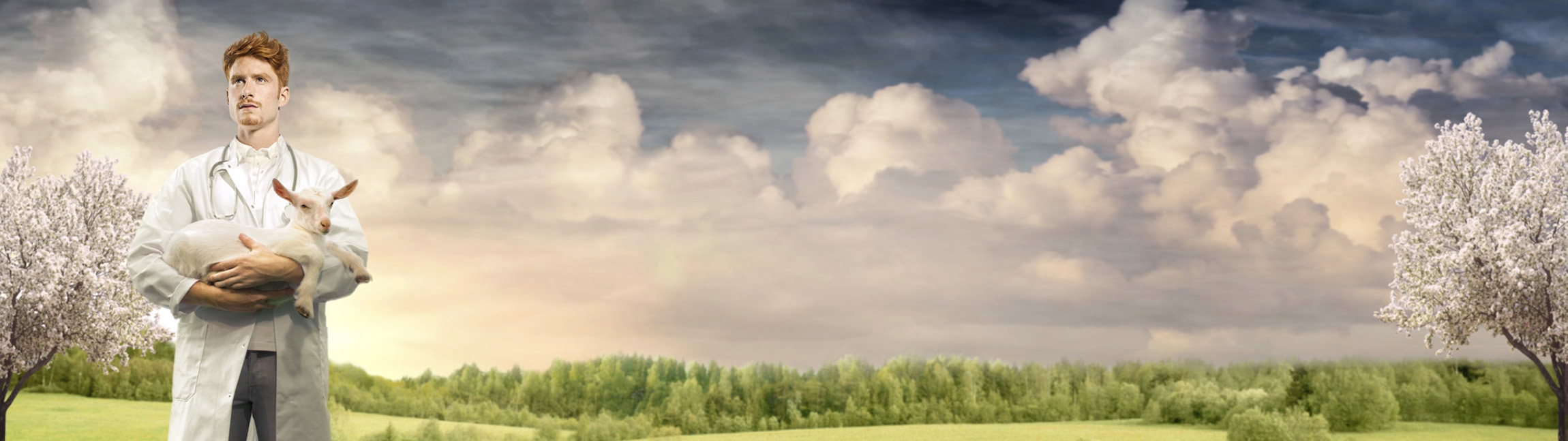 Dienstverlening banner