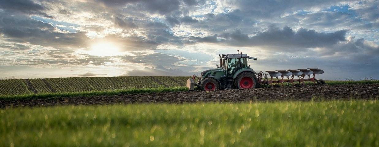 Land en tuinbouw