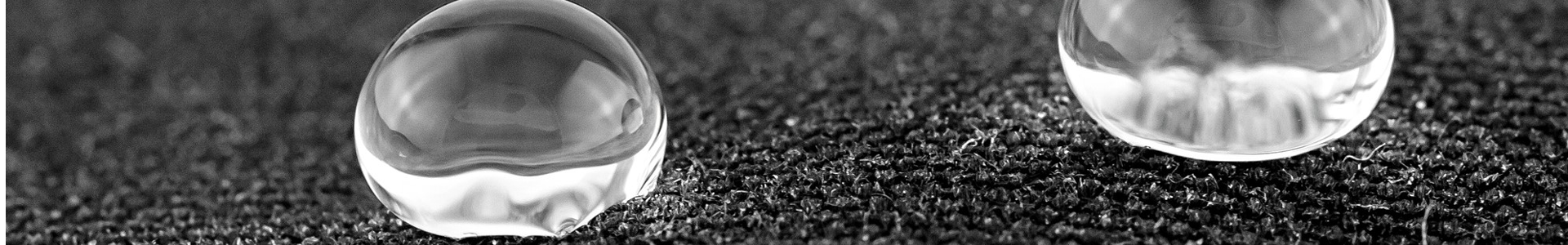 Lamoral_blog