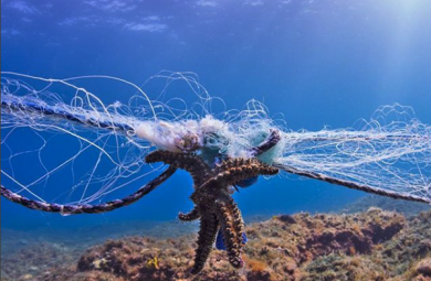 havep Nylon aus recycelten Fischernetzen