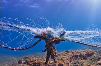 ÊTRE CIRCULAIRE ENSEMBLE : DU NYLON DE FILETS DE PÊCHE RECYCLÉS