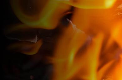 loi_teaser_390x255
